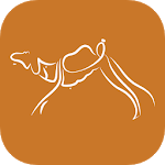 Smart Race icon