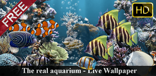 The real aquarium - HD PC screenshot