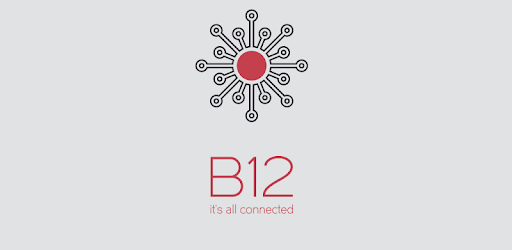 B12 App PC screenshot