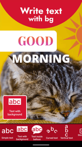 Add Text on Photo PC screenshot 3