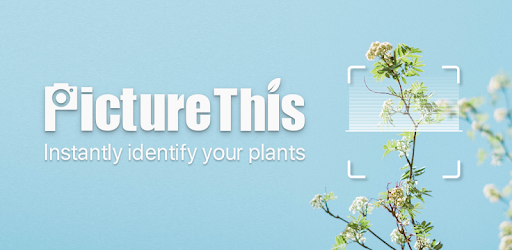 PictureThis - Flower & Plant Identification PC screenshot
