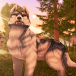 Wolf Tales - Online Wild Animal Sim icon