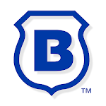 Brinks Home Security icon