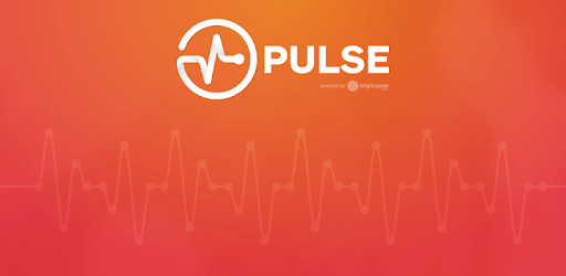 Brightspace Pulse PC screenshot