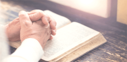 English Standard Bible Free Download. ESV Bible PC screenshot