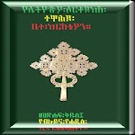 Ethiopian Orthodox Bible 81 icon