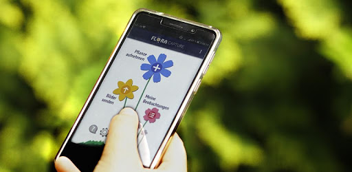 Flora Incognita - automated plant identification PC screenshot