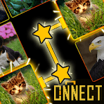 Onnect - Pair Matching Puzzle icon
