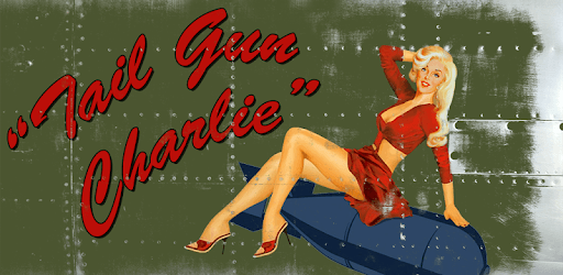 Tail Gun Charlie - WW2 Bomber Shooting Game PC screenshot