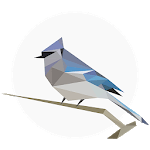 BirdNET: Bird sound identification icon