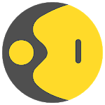 WION News icon