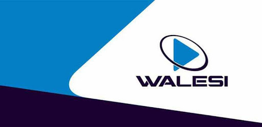 Walesi PC screenshot