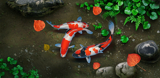 KOI Lucky Fish Live Wallpaper PC screenshot